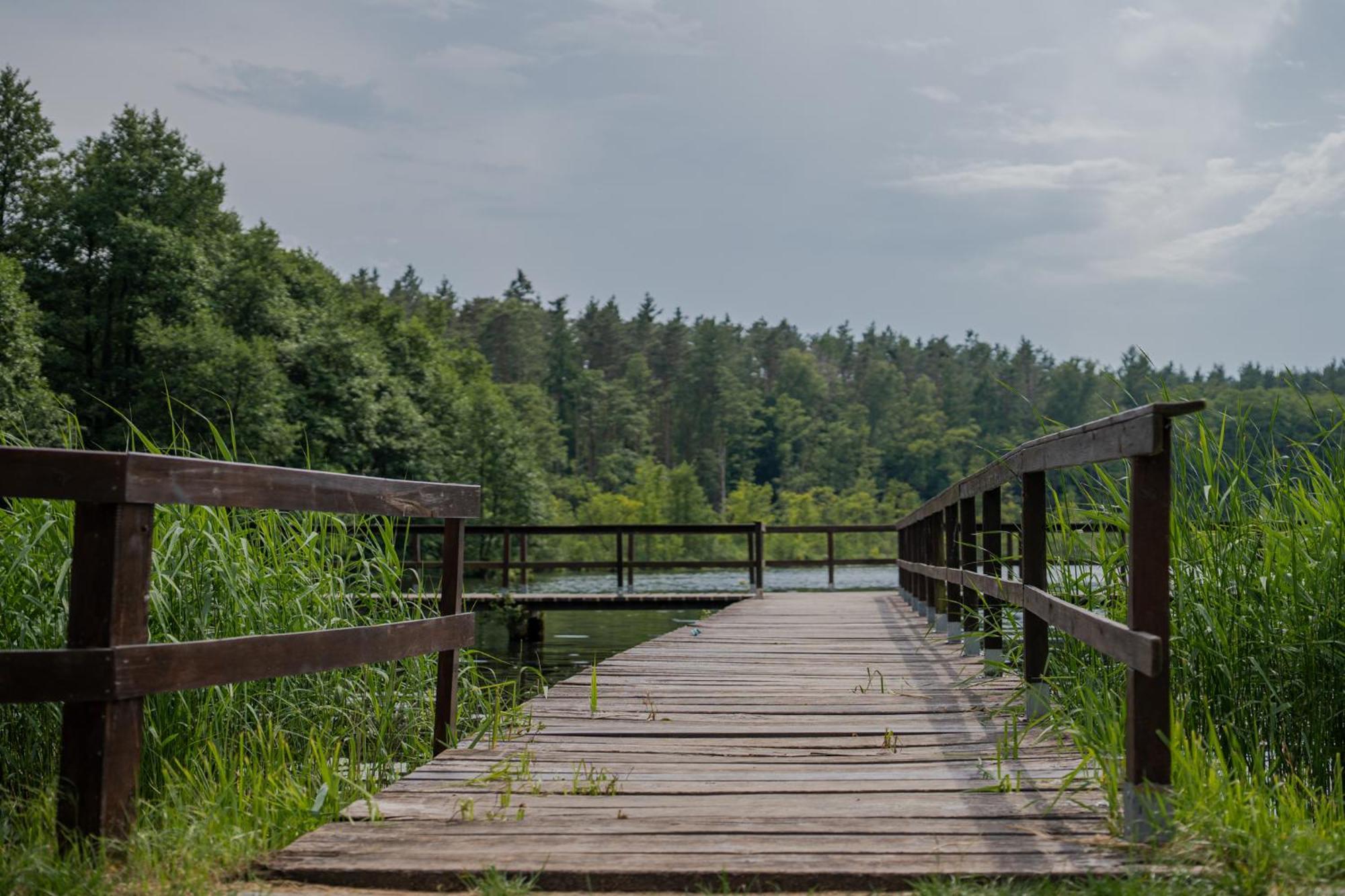 Auberge de jeunesse Osrodek Wypoczynkowy Lesne Ustronie à Witnica Extérieur photo